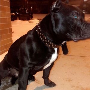 Meet your Posher, Abel